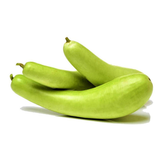 Bottle Gourd 700 g  to 1 Kg (1 or 2 Pc)