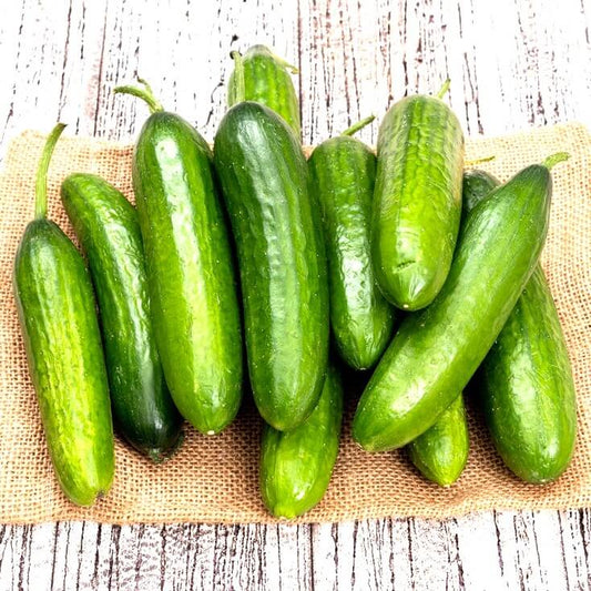 Fresh Chinese Cucumber 500 g & 1 Kg