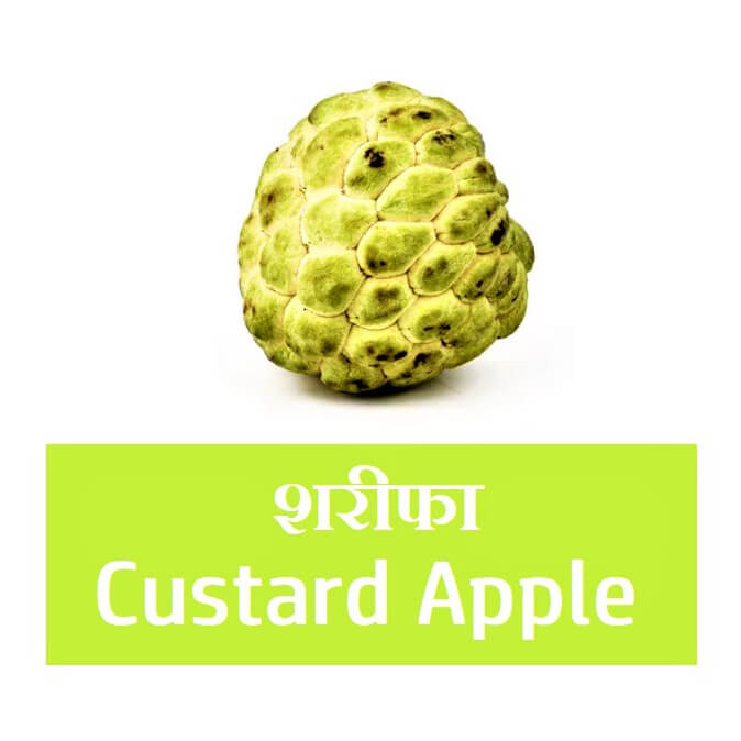 Custard Apple 500 g & 1 Kg