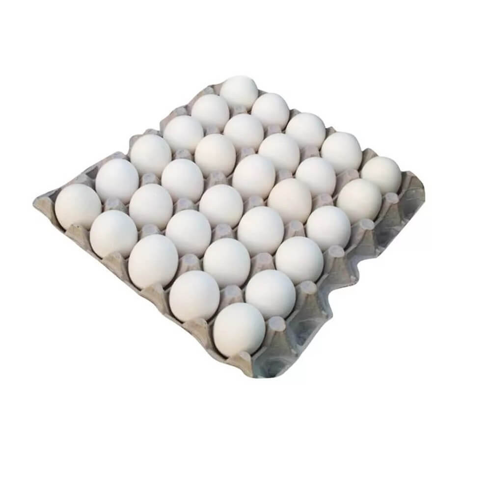 White Egg Tray - 30 Unit Egg