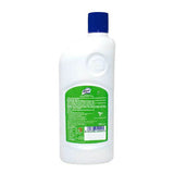 Lizol Disinfectant Surface Cleaner Pine 500 ml