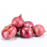 Onion Regular 1 Kg & 5 Kg Best Quality Standard Size Onion