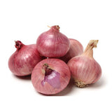 Onion Regular 1 Kg & 5 Kg Best Quality Standard Size Onion