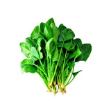 Spinach (Palak) - 500 g