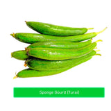 Sponge Gourd (Turai) - 500 g & 1 Kg